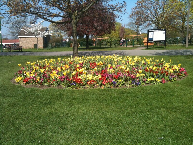 Flower bed in a park