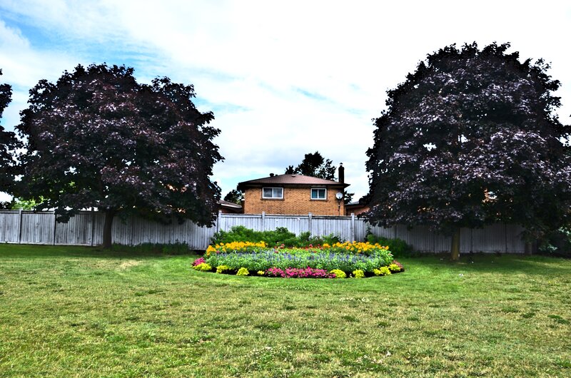 Flower Bed in Backyard