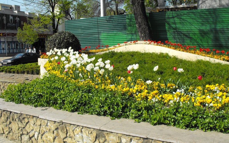 Flower bed in city park