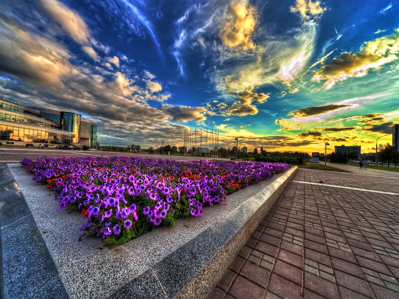 Flower Bed in City Square