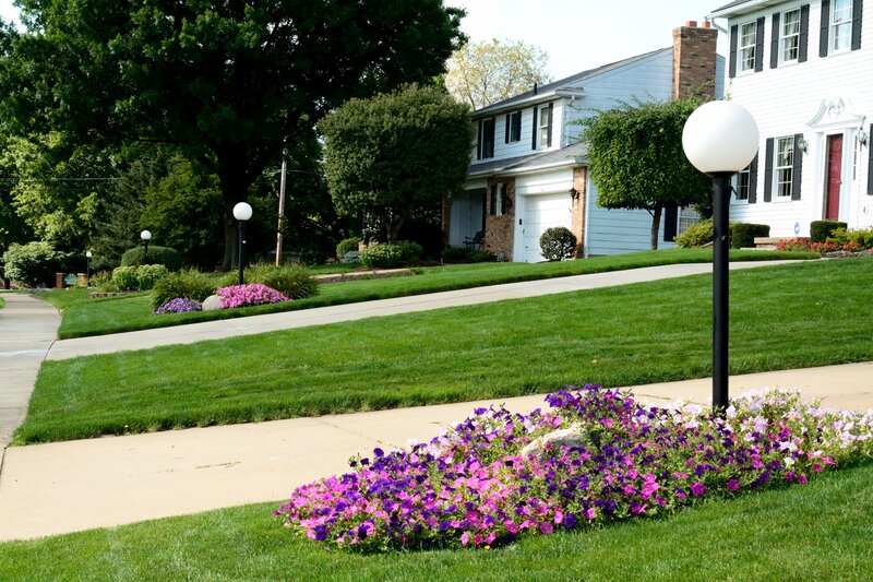 Flower Bed in Front Yard — Green, Serene