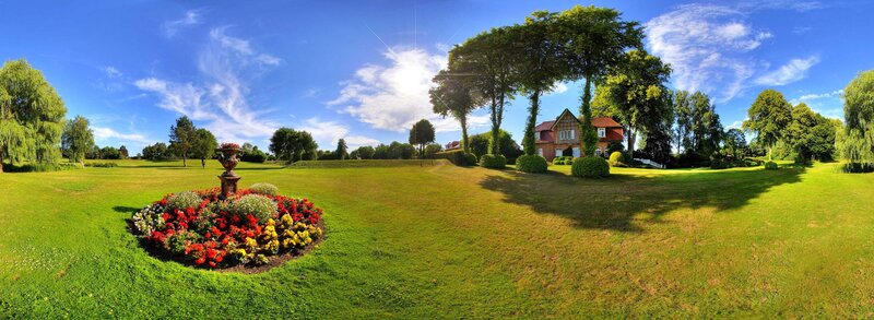 Flower Bed in Garden — Green, Serene, Afternoon, Photograph