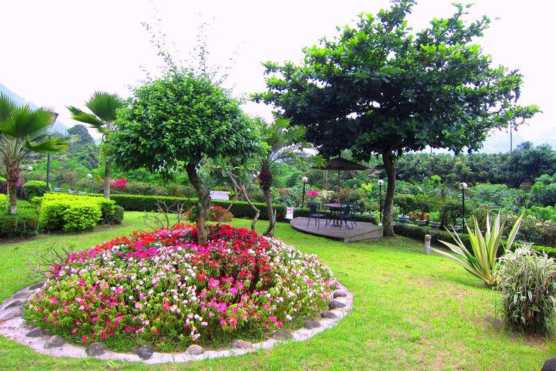 Flower Bed in Garden — Green, Serene, Afternoon