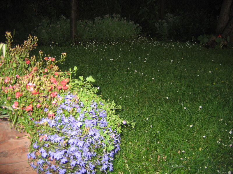 Flower Bed in Garden — Green