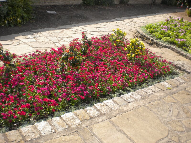 Flower bed in garden path