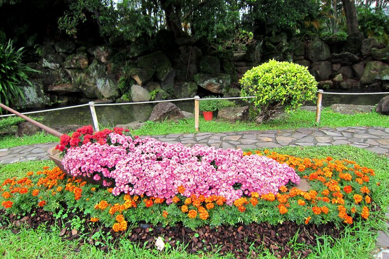 Flower Bed in Garden — Pink, Serene, Afternoon