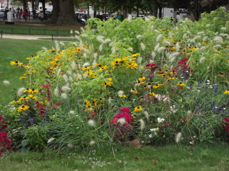 Flower Bed in Park — Green, Calm