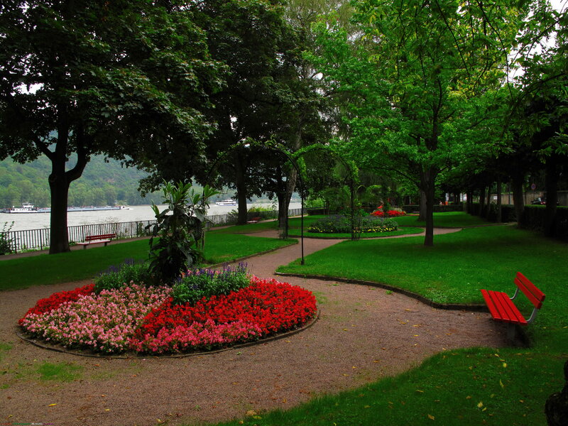 Flower Bed in Park — Green, Serene, Afternoon, Photograph, Bench