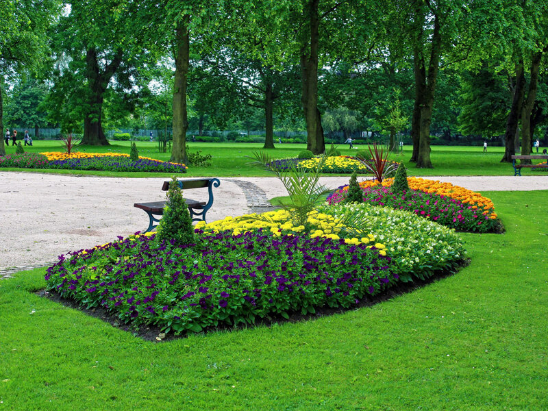 Flower Bed in Park — Green, Serene, Afternoon, Photograph, Bench, Trees