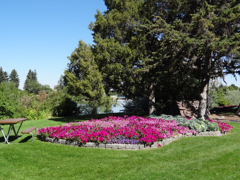 Flower Bed in Park — Green, Serene, Afternoon, Photograph