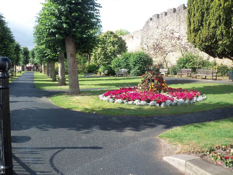 Flower Bed in Park — Green, Serene, Afternoon, Photograph, Trees