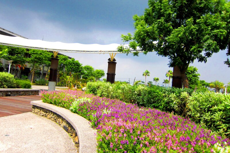 Flower Bed in Park — Purple, Serene