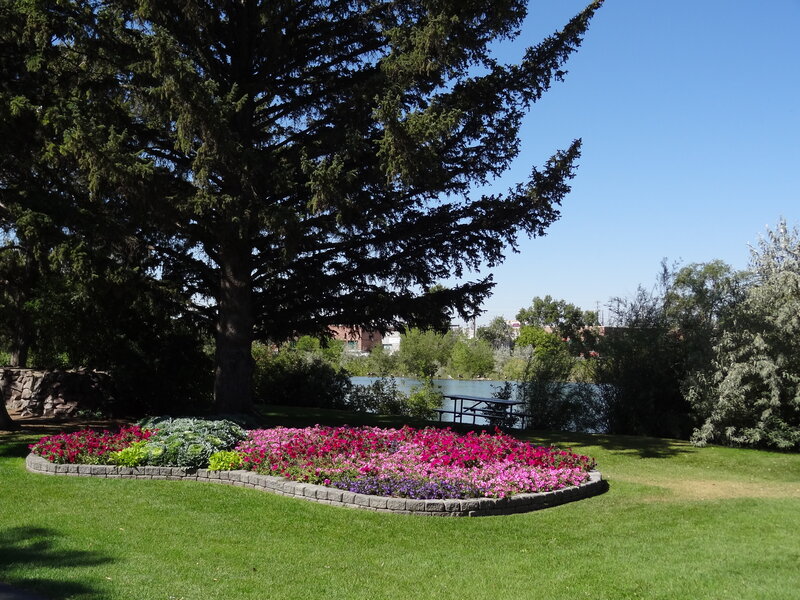 Flower Bed Near Lake