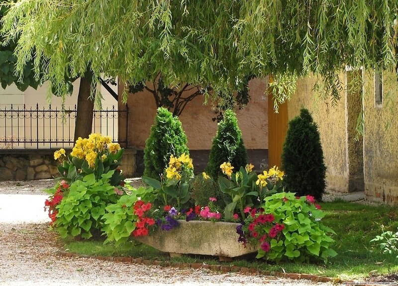Flower Bed under Willow Tree
