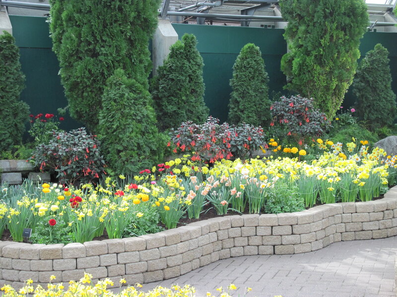 Flower Bed with Daffodils