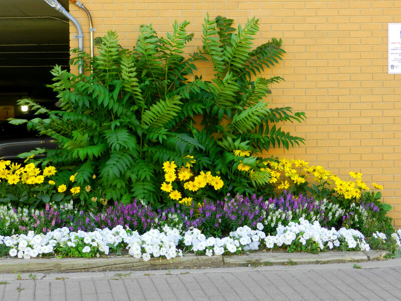 Flower Bed with Green Plants