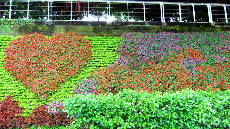 Flower Bed with Heart Shape