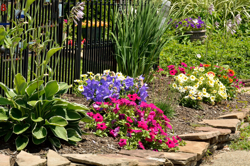 Flower Bed with Hostas