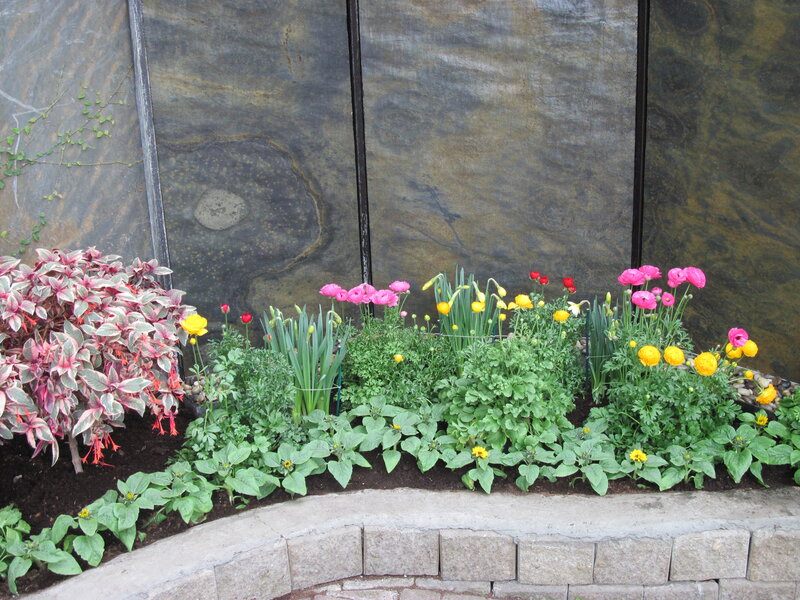 Flower Bed with Mixed Plants