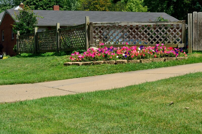 Flower Bed with Petunias — Green
