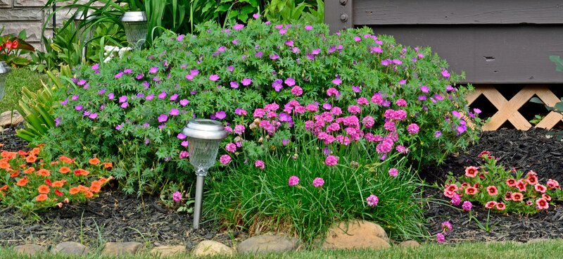 Flower Bed with Purple Flowers