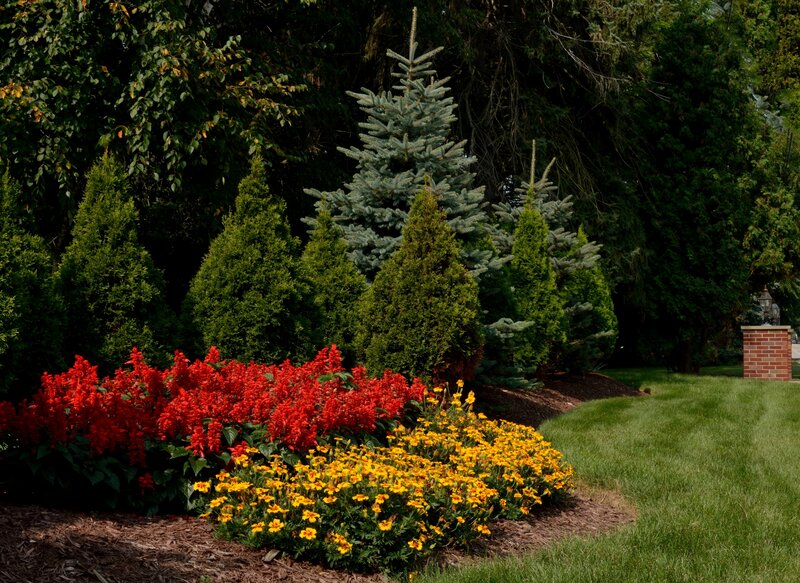 Flower Bed with Shrubs — Red