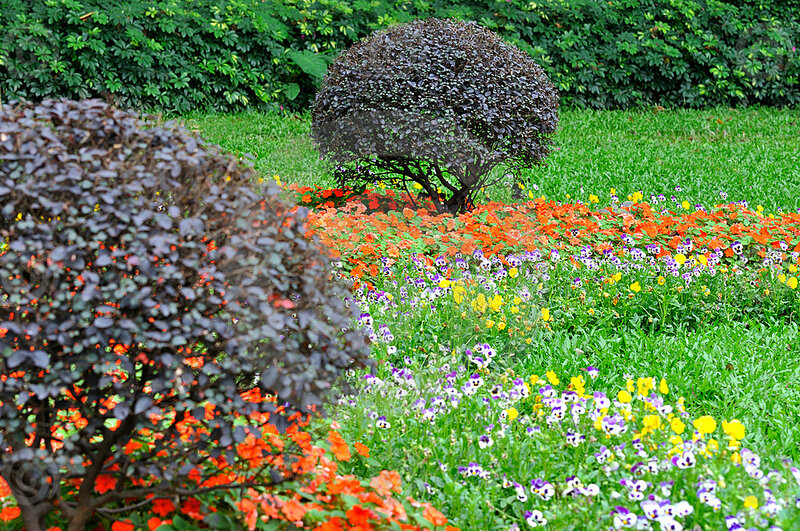 Flower Bed with Shrubs