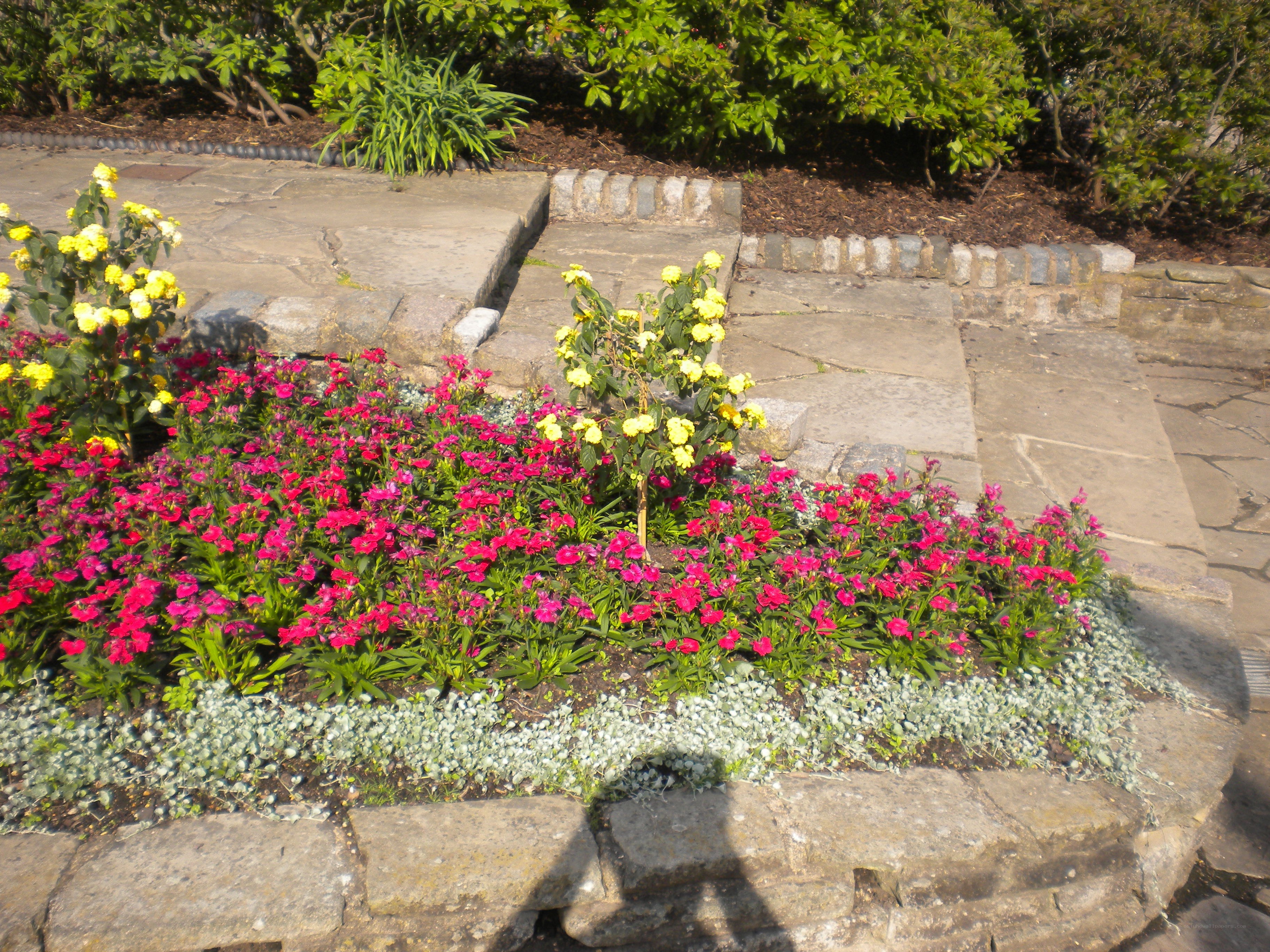 Flower bed with stone path