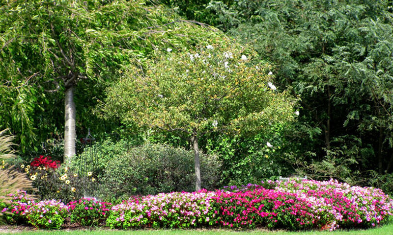 Flower Bed with Trees