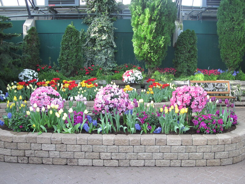 Flower Bed with Tulips — Pink