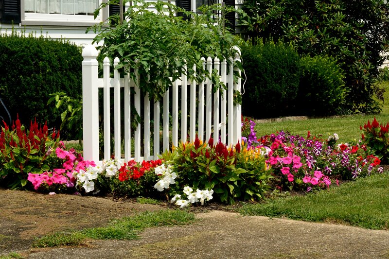 Flower Bed with White Fence — Green