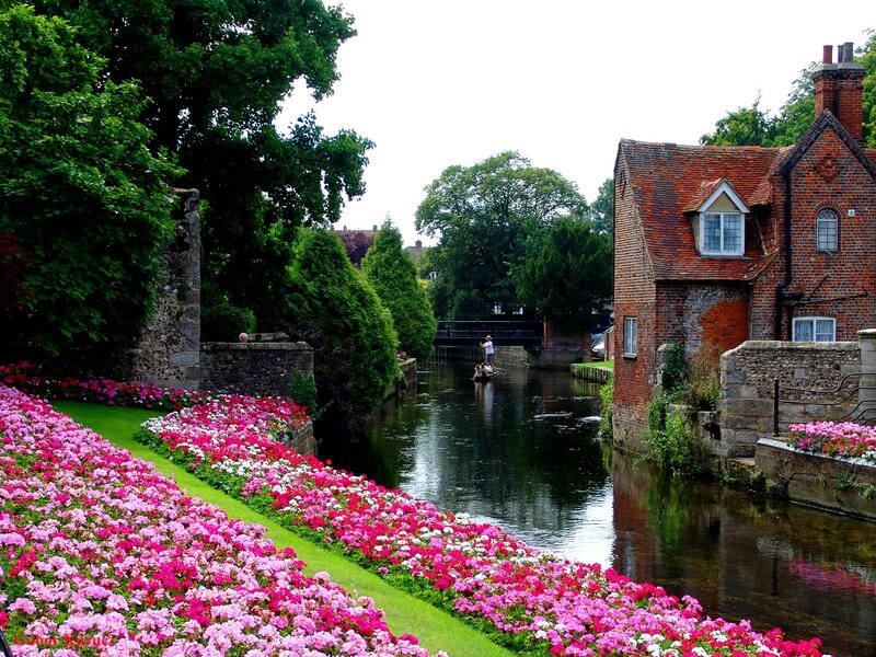 Flower Beds Along Canal — Pink