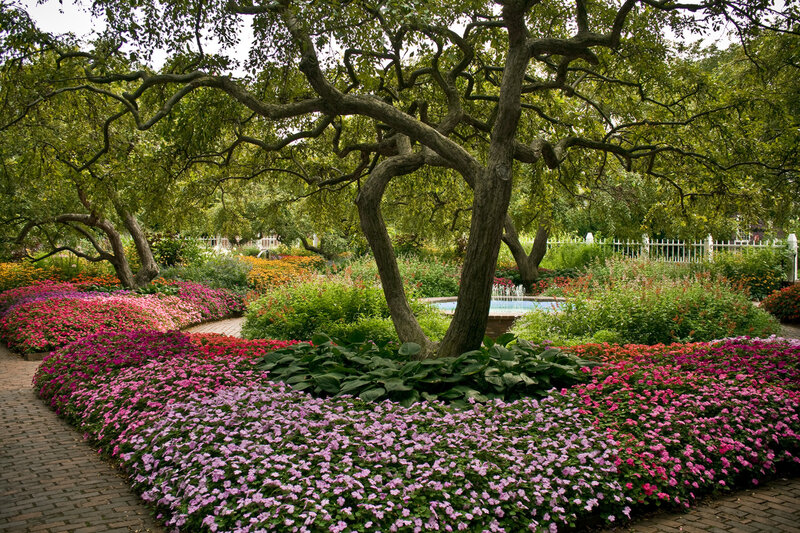 Flower Beds Around Tree