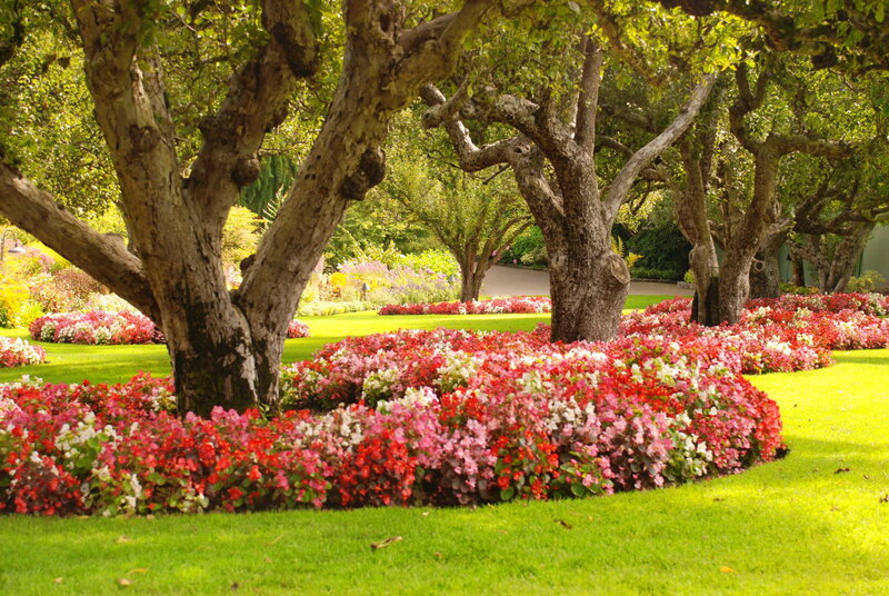 Flower Beds Around Trees — Green