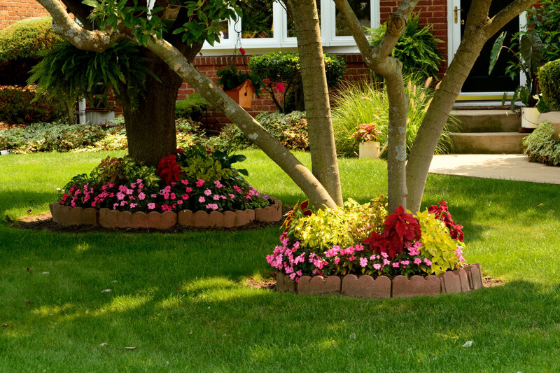 Flower Beds Around Trees