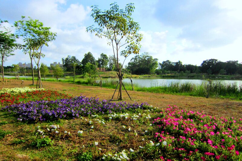 Flower Beds by Lake