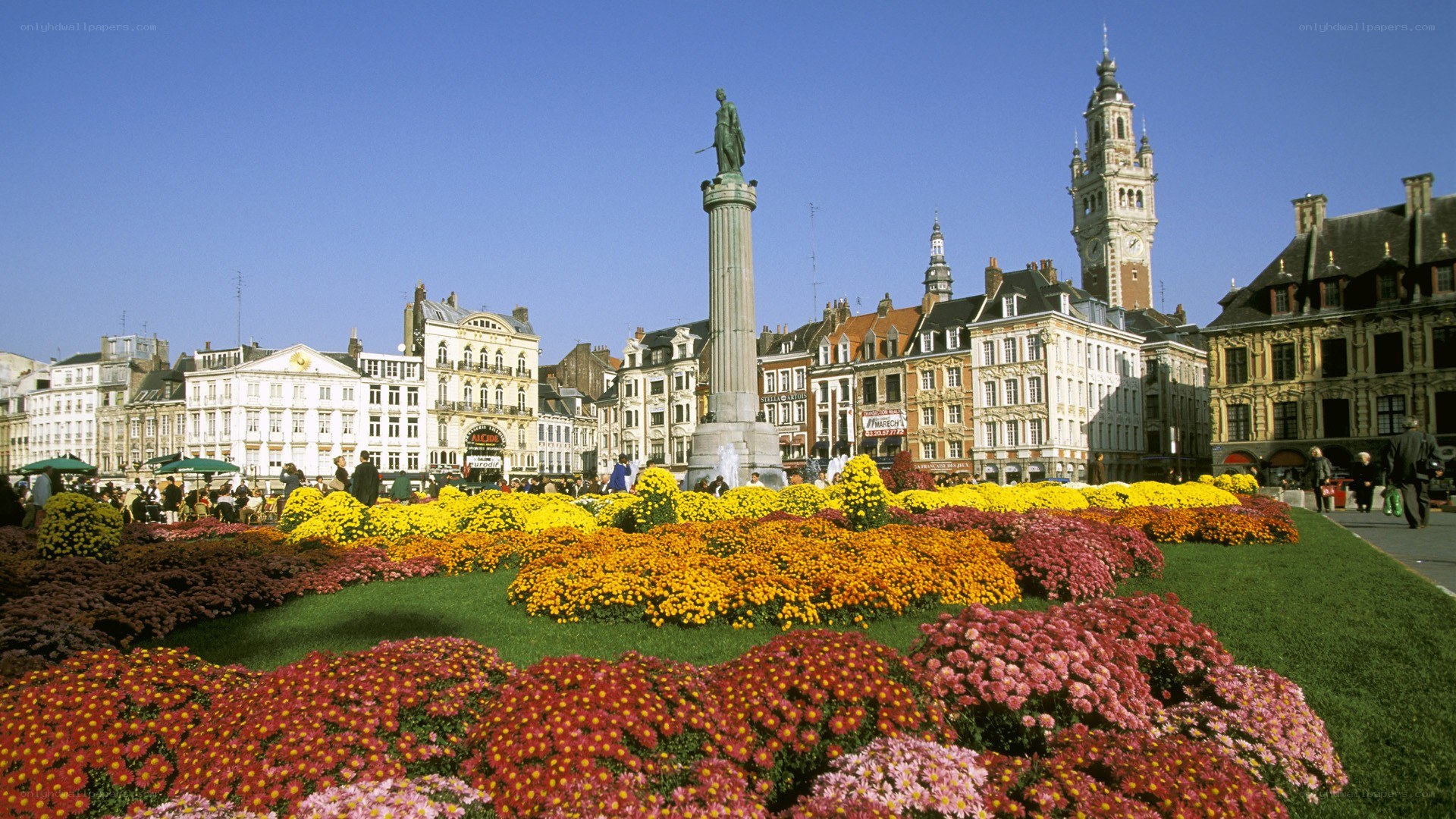 Flower beds in a city square