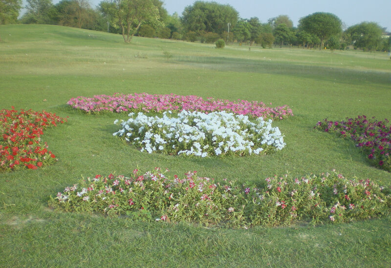 flower beds in a park
