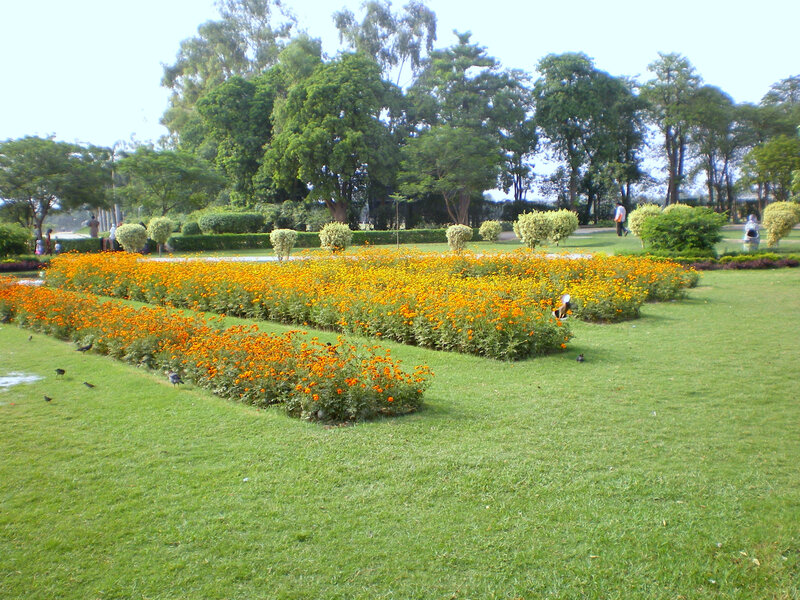 Flower beds in a park