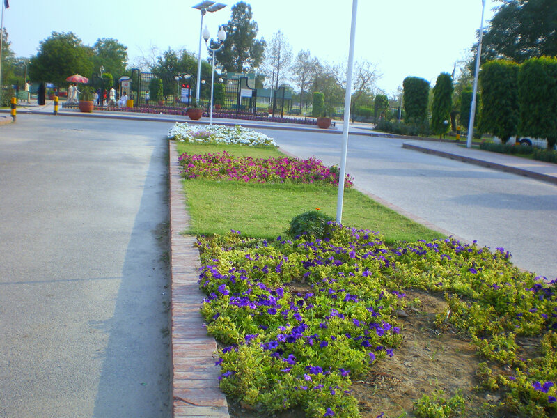 Flower beds in a park