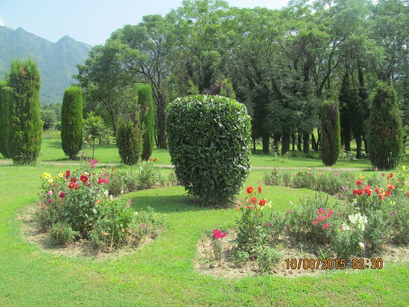 Flower Beds in Garden — Green, Serene