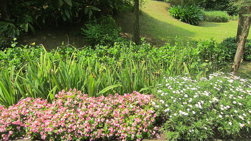 Flower Beds in Garden — Green