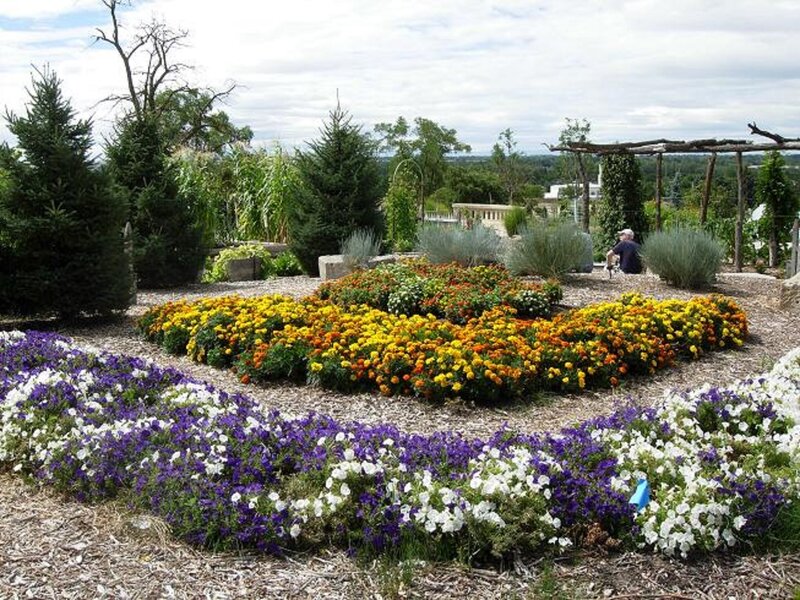 Flower Beds in Garden — Yellow