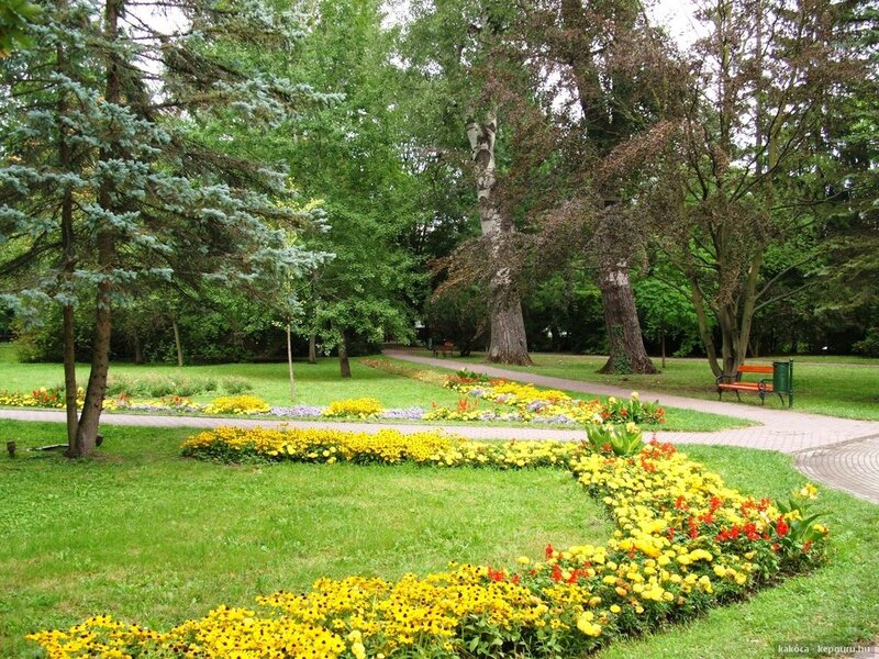 Flower Beds in Park — Green, Serene, Afternoon, Photograph