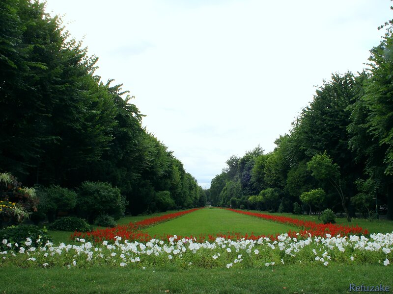 Flower Beds in Park — Green, Serene, Afternoon, Photograph, Trees, Grass