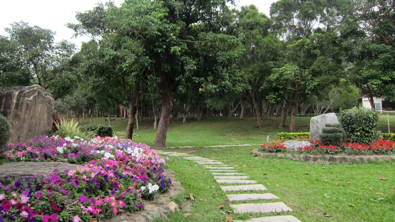 Flower Beds in Park — Green, Serene, Afternoon, Photograph, Trees, Stone Path