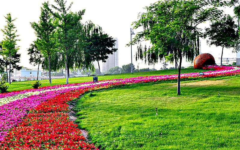 Flower Beds in Park — Green, Serene, Afternoon, Photograph, Trees