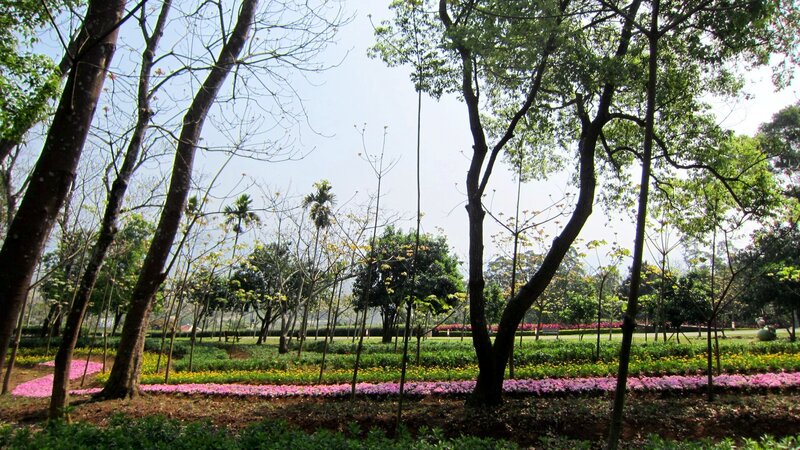 Flower Beds in Park — Green, Serene, Afternoon