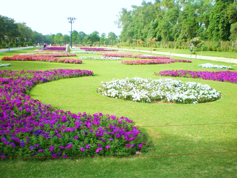 Flower Beds in Park — Green, Serene