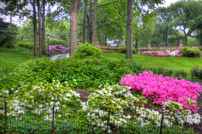 Flower Beds in Park — Green